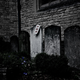 Illustration for article titled Shooting Challenge: Urban Decay 3